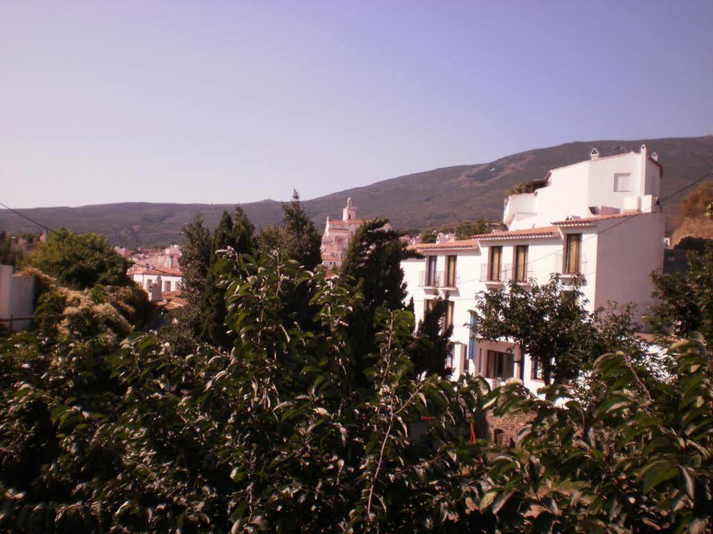 Pepin 2* Cadaqués